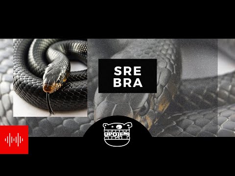WUEES - SREBRA (prod. RETNIK)