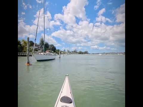 Paddling the Tamaki river #seakayaking #seakayak #paddlers #newzealand