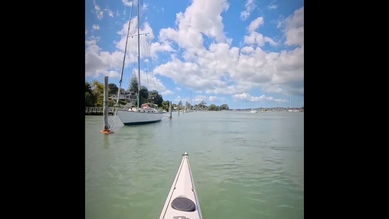 Paddling the Tamaki river #seakayaking #seakayak #paddlers #newzealand