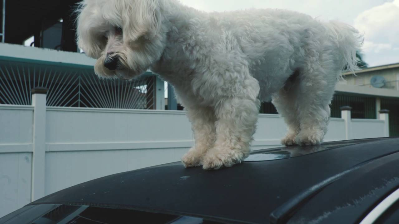 Axwell & Shapov — Belong (Axwell & Years Remode)