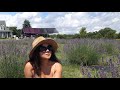Greenfields (by Eliza Gilkyson)