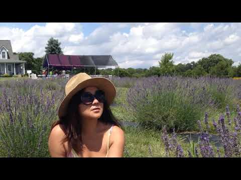 Greenfields - Eliza Gilkyson