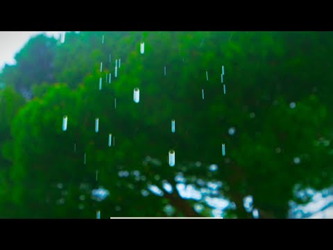 Relaxing Summer Rain Sounds for Sleep & Stress Relief