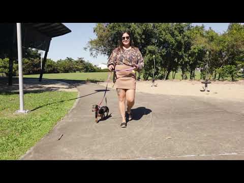 1 Pharlap Parade, Ooralea, QLD 4740, 3房, 1浴, 独立屋