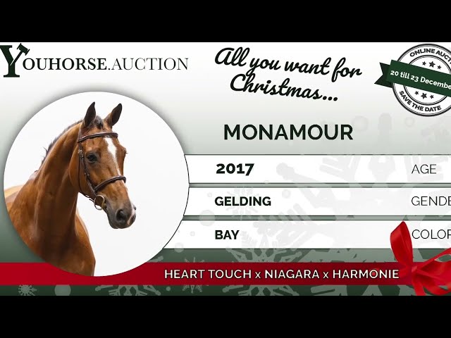 Monamour showvideo indoor