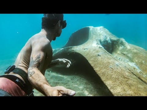 YBS Lifestyle Ep 42 - NATURE IS CRAZY Found A Whale Skeleton | Spearfishing On NYD | Catch And Cook