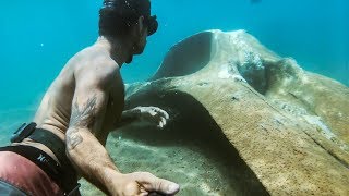 YBS Lifestyle Ep 42 - NATURE IS CRAZY Found A Whale Skeleton | Spearfishing On NYD | Catch And Cook