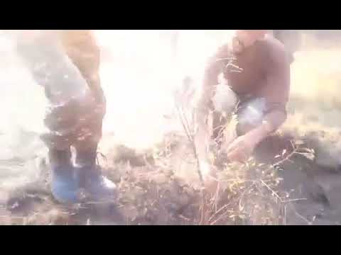 Հայ զինվորները ծառեր են տնկում առաջնագծում