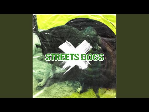 Streets Dogs
