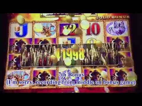 Akafuji Slot Jackpot!, Until get the Jackpot★Buffalo Gold Slot Bet$3 & Max Bet$6 Handpay, Harrah's Video