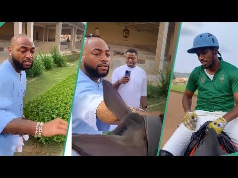 Davido's Hilarious Horse Encounter Goes Viral: 'Fear Fear 001!' Singer's Reaction