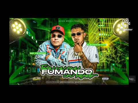🔵CLEYTINHO PAZ & MC PIKACHU - EU TAVA NA RUA FUMANDO UM BASEADO (Remix brega funk).