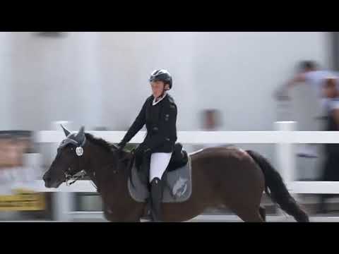 Skoky - děti 11 až 13 let na pony B - Video záznam MČR pony 2018 ve Zduchovicích