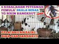 6 Kesalahan Pemula Dalam Beternak Kelinci Skala Besar