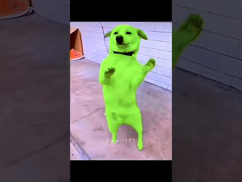 GoG Sing I Am Not That Innocent Dududa Dududa