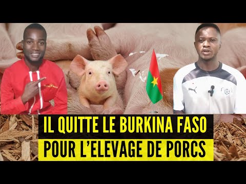 , title : 'il Quitte BURKINA FASO pour l'élevage des PORCS au Bénin, INVESTIR en Afrique aujourd'hui'