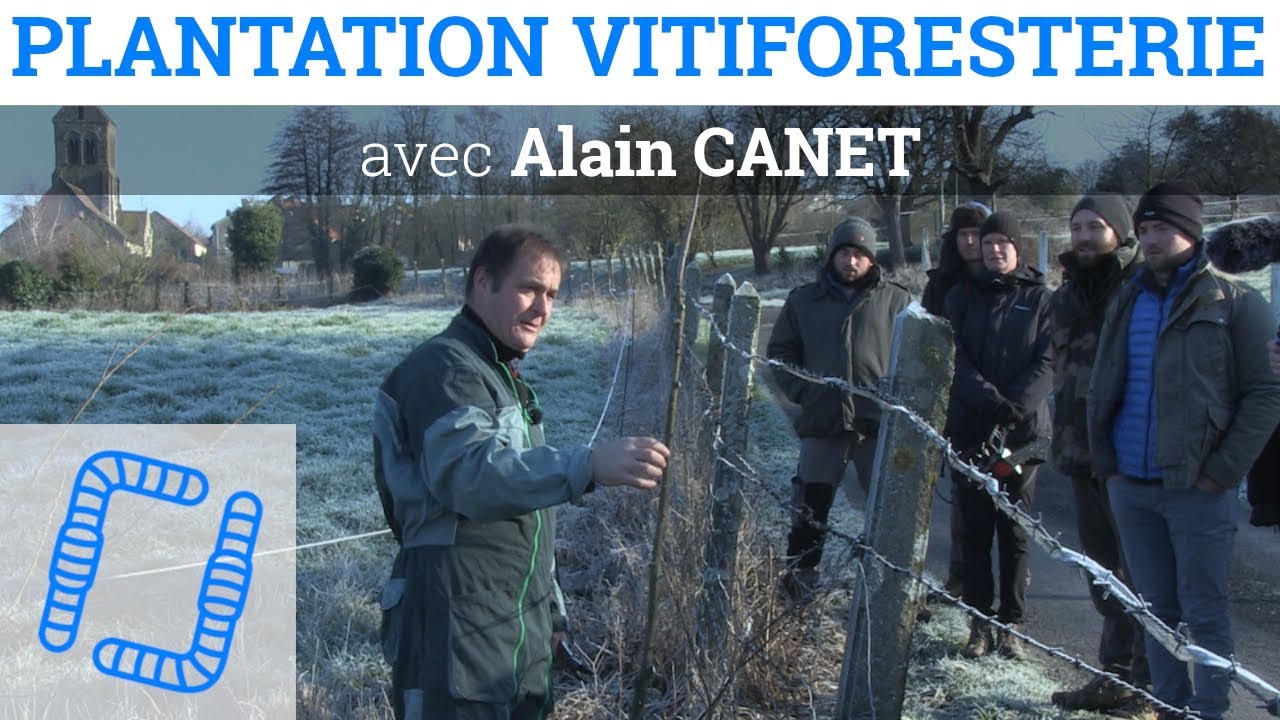 Plantation Vitiforesterie avec Alain CANET
