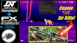 DNT ThermNight & FX Airguns Panthera Hunter Compact .30 VS Coyote! Coyote Hunting With an Air Rifle!