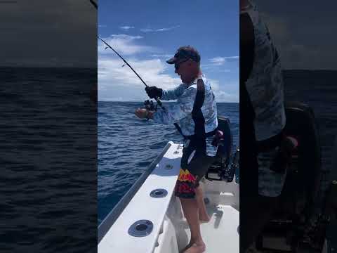 Vidéo pêche sportive en baie d’Antongil
