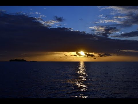 LEROY FAHNKAR "Musa"