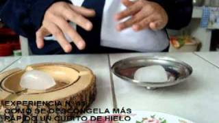 experiencia nº11