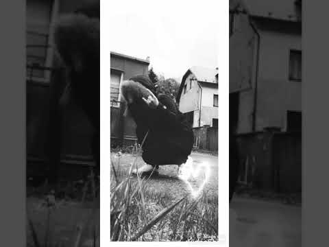 Dinamic-aly Bee-mám tě rád