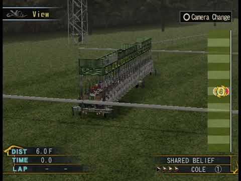 2020 Seeing Stars Dubai Golden Shaheen