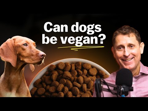 Can dogs and cats be vegan? (Andrew Knight)