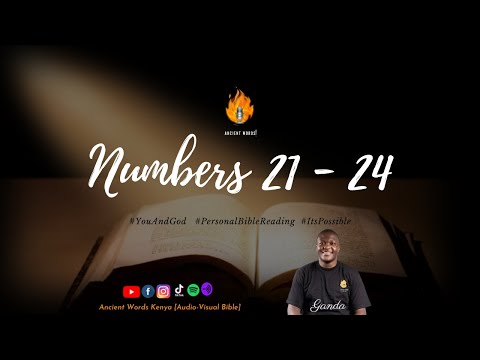NUMBERS Chapters 21 - 24 | Audio-Visual Bible