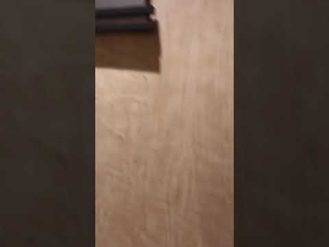 Celebrity Constellation Sky Suite 6127