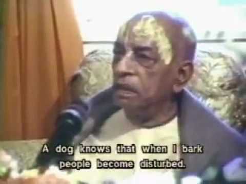 Conversation with Srila Prabhupada 3