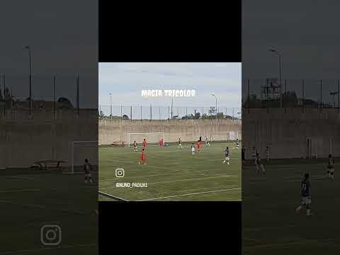 Defesas Martim Nunes 