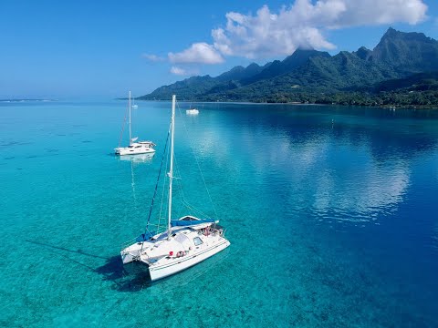 THE SMALL BUT MIGHTY PRIVILEGE 37 CATAMARAN