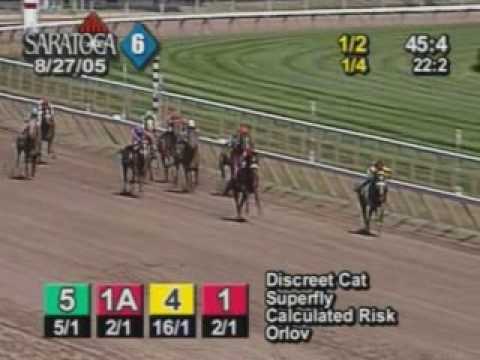 Discreet Cat - 2005 Maiden Special Weights