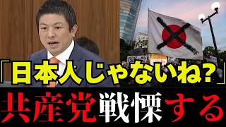 【衝撃】国旗損壊罪が骨抜きに？参政党が自民・維新を一喝！国会論戦の真実