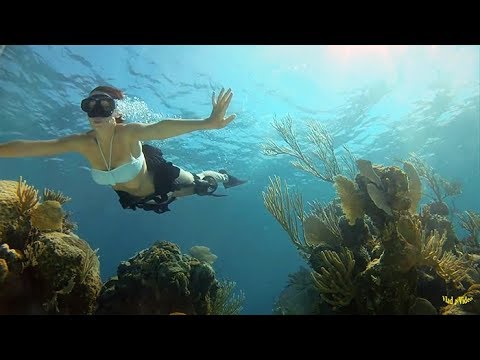 AlimkhanOV A. & Systems In Blue - System In Blue (Cover-Remix)