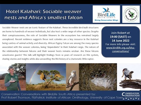 Conservation Conversations: Hotel Kalahari - Sociable weaver nests - Prof Robert Thomson (14Jun22)