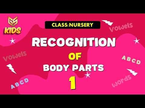 Body parts (1) - Nursery – EVS -  Gyansrota Kids