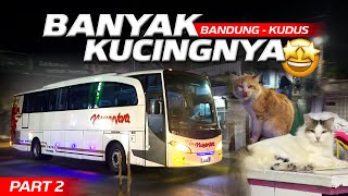 Download lagu RUMAH MAKAN BUS NUSANTARA INI GAK BIASA‼️Trip Bandung - Kudus with Nusantara Super Executive mp3