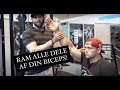 Ram alle dele af din biceps