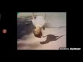 Sesame Street A Girl Invites The Listener To Swing Up High