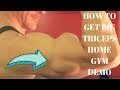 How to Get Big Arms Best Triceps Workout Home Gym