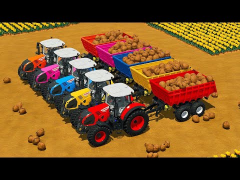 LOAD, TRANSPORT WALNUTS AND MAKE BALES WITH DEUTZ TRACTORS - Farming Simulator 22