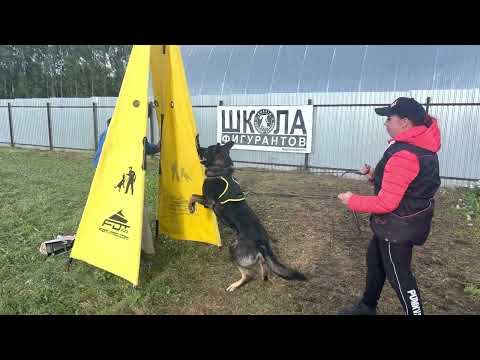 Team Larnie’s Fakta