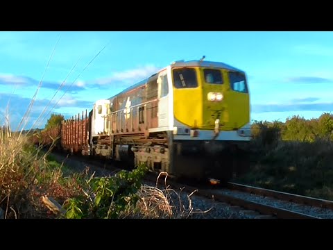 IE class 071 (083) + Timber - Mullinavat, Co. Kilkenny