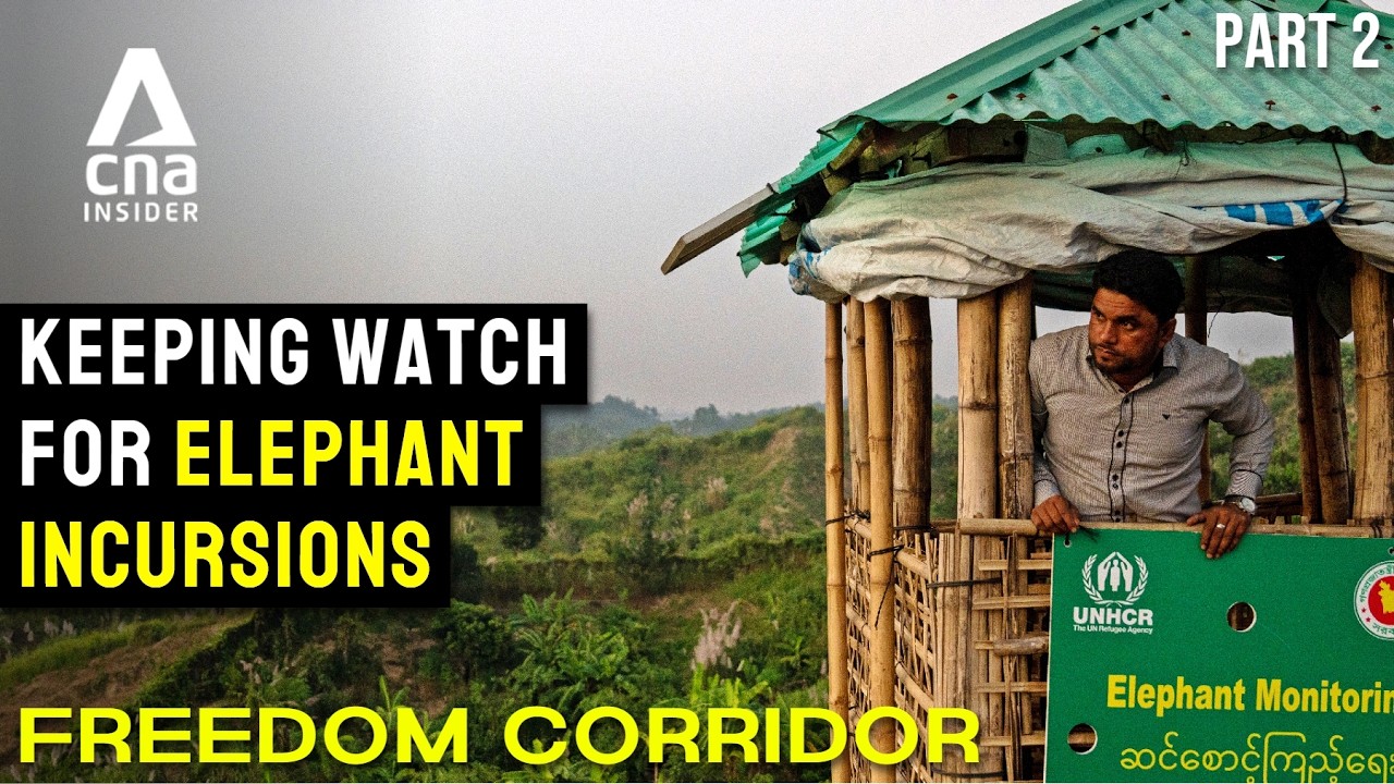 The Freedom Corridor Ep2