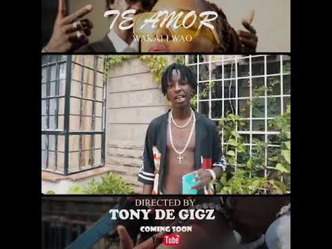 TE AMOR- Wakali wao ( Iano ranking x Kim swat x pita scarlet) dir. tony_de gigs