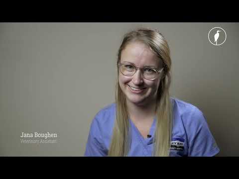 Dr. Sara May, Allergy and Immunology