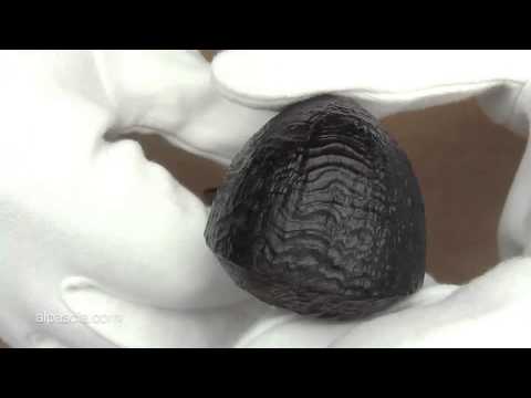 pipa Dunhill Shell Briar 3108 Group 3 - pipe 951