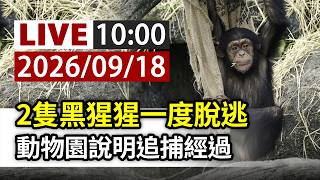 【完整公開】LIVE 2隻黑猩猩一度脫逃 動物園說明追捕經過 TTVLIVE